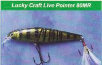 Lucky Craft Live Pointer 80MR